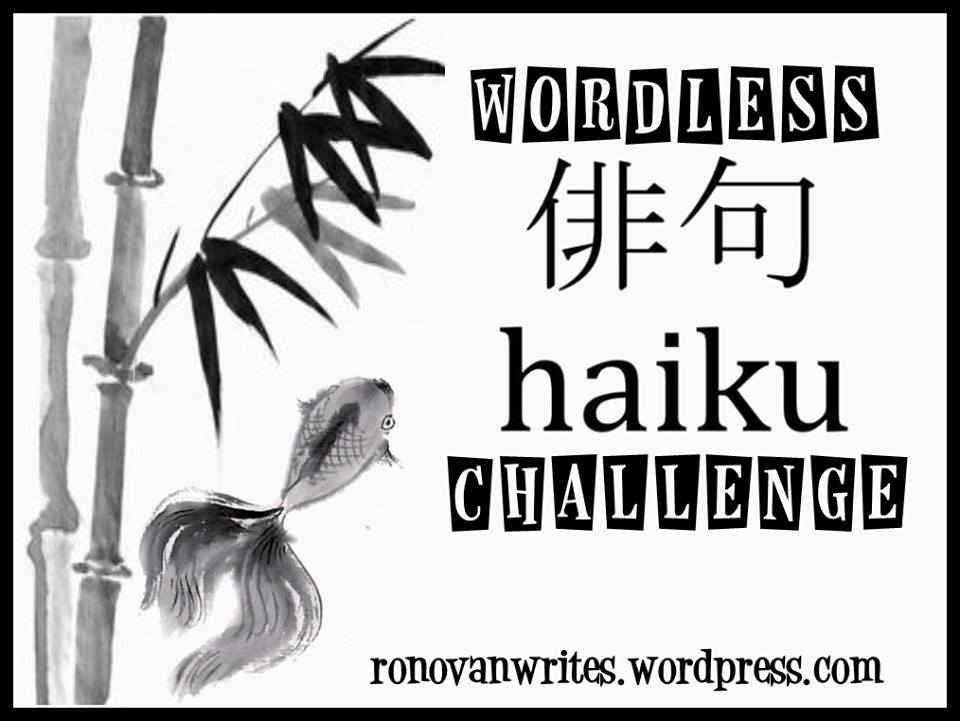 wordless-haiku-challenge